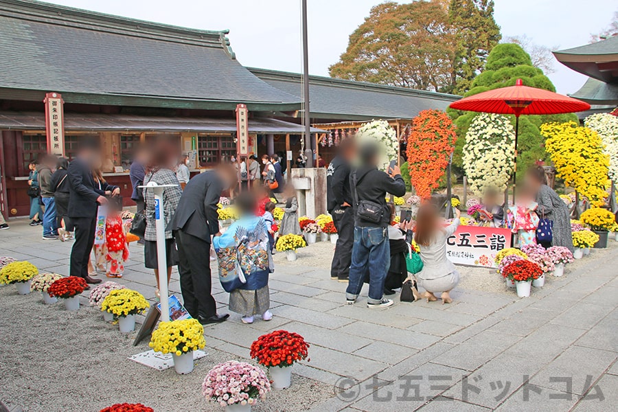 笠間稲荷神社 拝殿前に設置された七五三詣看板と撮影スポットの様子（その2）