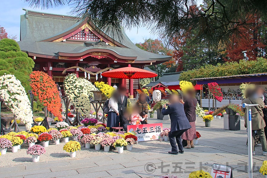 笠間稲荷神社 御祈祷を終えて記念撮影を楽しむ七五三ご家族の様子