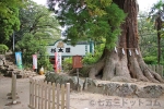 筑波山神社 随神門の様子