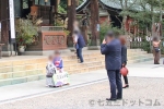 筑波山神社 大杉の御神木の様子