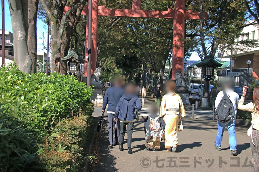 大宮氷川神社 境内までの参道と境内に向かう七五三ご家族の様子