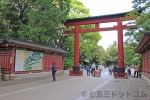 大宮氷川神社 境内 本殿・拝殿までの参道の様子