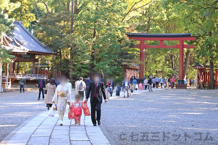 大宮氷川神社 境内参道と本殿に向かう七五三ご家族の様子