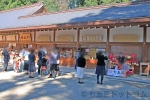 大宮氷川神社 第三駐車場の様子