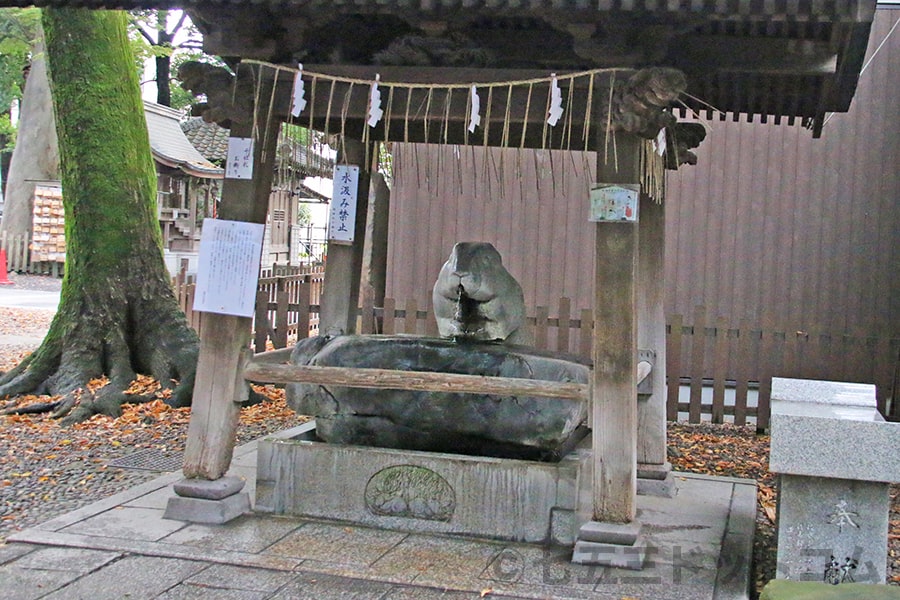 調神社 手水舎の様子