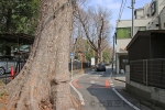 調神社 駐車場（別角度）の様子