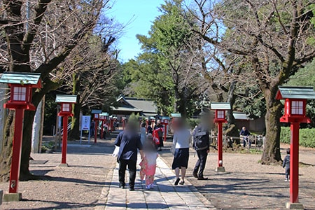 鷲宮神社 参道を進む七五三ご家族の様子