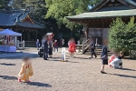 鷲宮神社 拝殿・本殿前でノビノビとしてる七五三ちゃんたちの様子