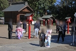 鷲宮神社 境内で色鮮やかな着物に身を包む七五三ちゃんの様子