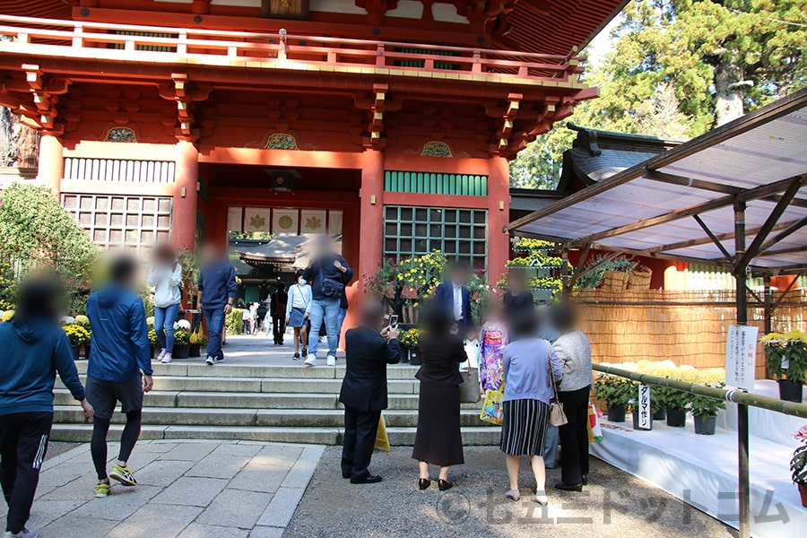 香取神宮 楼門前で記念撮影を楽しむ七五三ご家族の様子