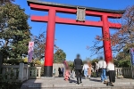 亀戸天神社 境内入口の大鳥居の様子