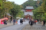 鶴岡八幡宮 境内参道の様子