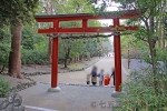 鶴岡八幡宮 第1駐車場の様子