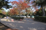 北野天満宮 駐車場と案内の神社職員の方の様子