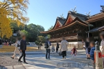 津神社 境内本殿周りの七五三ご家族で賑わうの様子（その1）