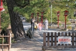 吉備津彦神社 参道を進む七五三ご家族の様子