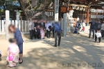 石切劔箭神社 御祈祷後に七五三の記念写真を楽しむご家族の様子