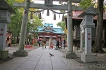 多摩川浅間神社 階段上りきって見える鳥居と奥の本殿の様子