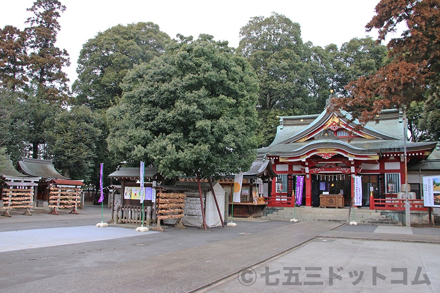 清瀬日枝神社・水天宮 日枝神社本殿と水天宮本殿が並んでいる様子