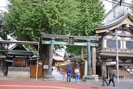 湯島天神 境内入口の表鳥居の様子