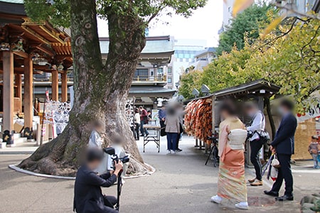 湯島天神 七五三のご家族で賑わう境内の様子（その3）