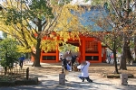 葛飾八幡宮 随神門前で記念撮影の七五三ご家族の様子