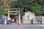 川越氷川神社 境内入口の鳥居の様子