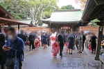 川越氷川神社 七五三のご家族での境内の混み合いの様子（その1）