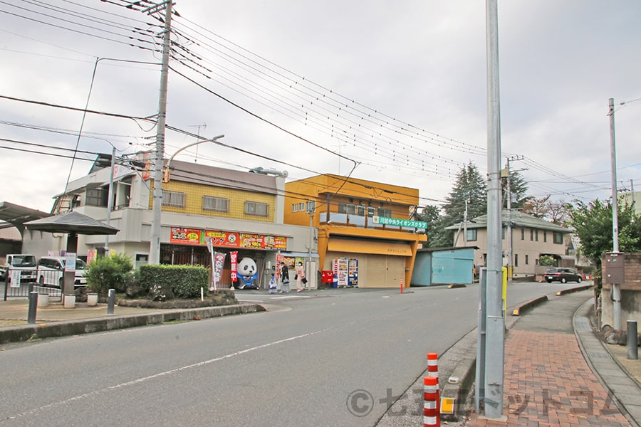 川越氷川神社 駐車場から境内に向かう道路（川越上尾線）の様子