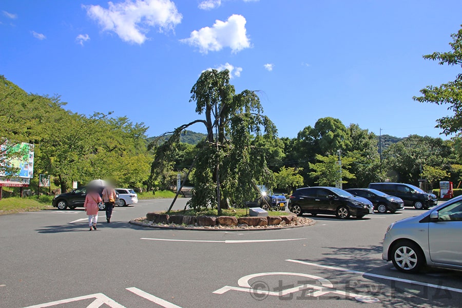 防府天満宮 駐車場（梅林駐車場）の様子