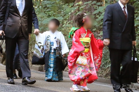 東京日枝神社境内 七五三お参りシーズンの様子