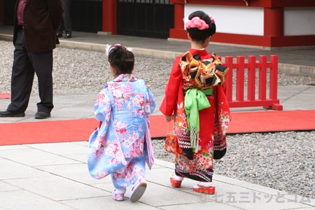 東京日枝神社境内 七五三お参りシーズンの様子