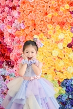 7歳　大人気の花壁の前にて撮影♬